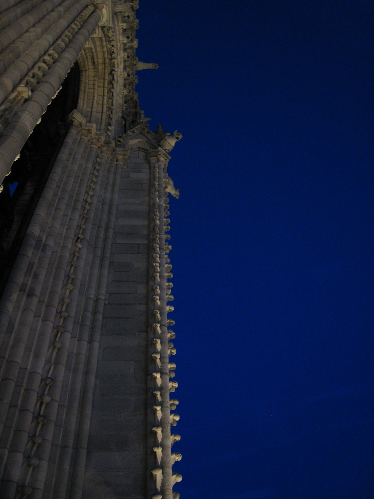 La+cattedrale+Notre-Dame-1163-1345 (53).jpg